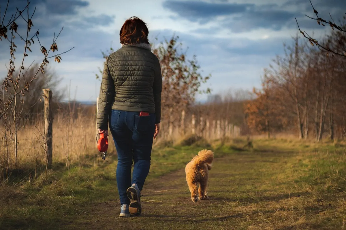 Eine Frau geht mit einem kleinen lockigen Hund an der Leine einen herbstlichen Feldweg entlang.